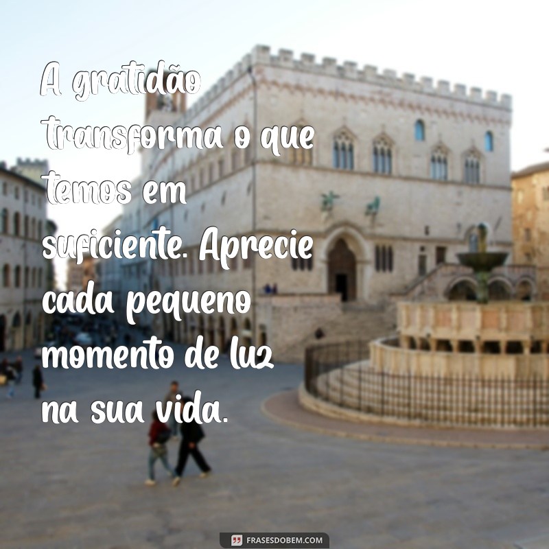 mensagem de luz e gratidão A gratidão transforma o que temos em suficiente. Aprecie cada pequeno momento de luz na sua vida.