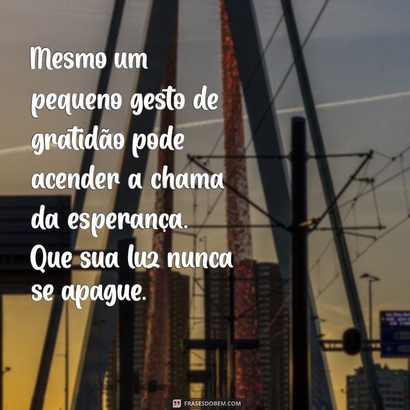 Transforme Sua Vida com Mensagens de Luz e Gratidão 