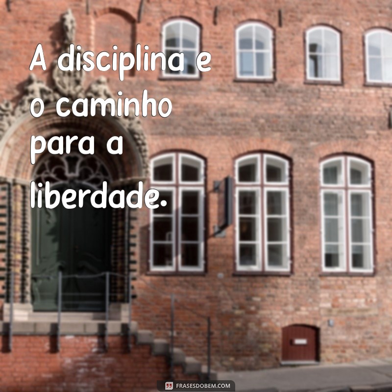 Frases Motivacionais Curtas para Inspirar Seus Clientes e Aumentar Vendas 