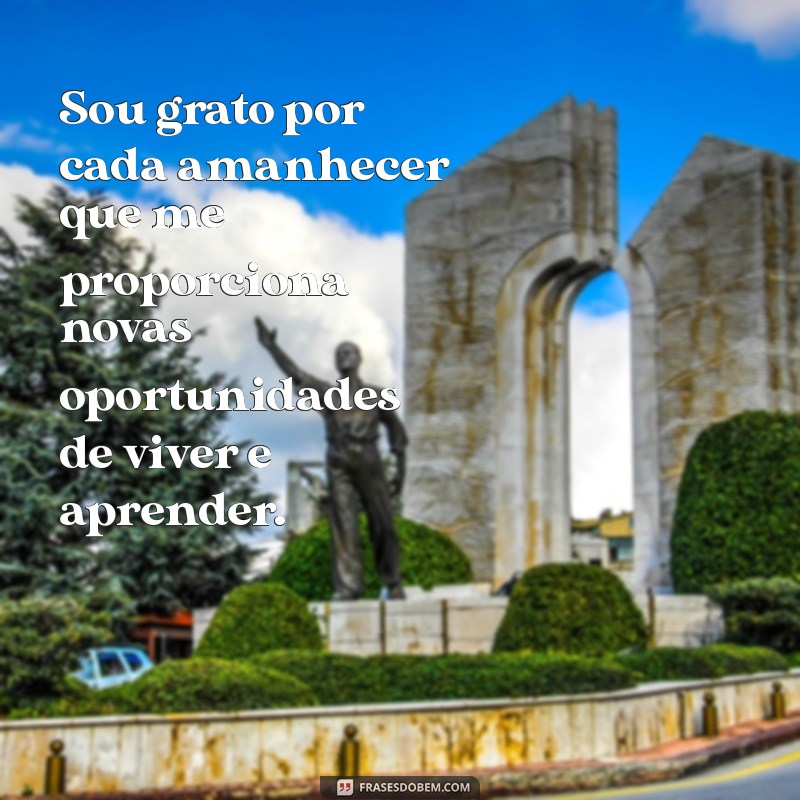 frases de gratidão por mais um ano de vida Sou grato por cada amanhecer que me proporciona novas oportunidades de viver e aprender.