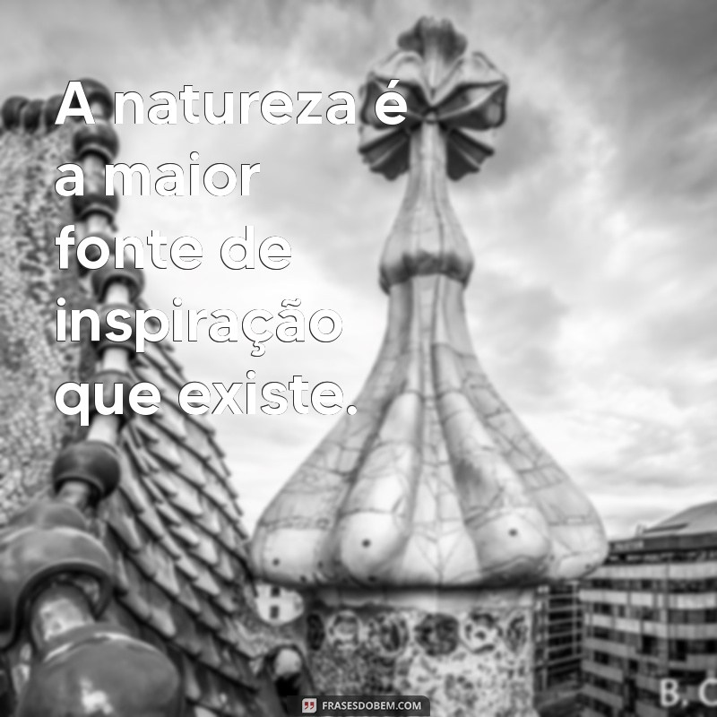 Frases Inspiradoras de Anne Com: Reflexões que Transformam 