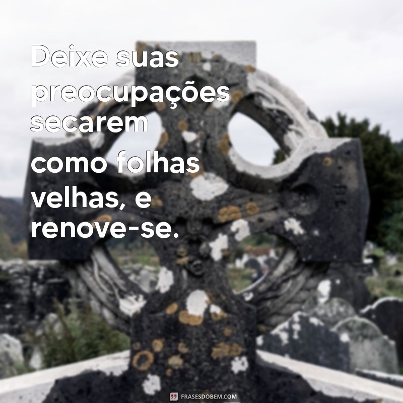 Frases Inspiradoras para Celebrar suas Suculentas: Dicas e Ideias Criativas 