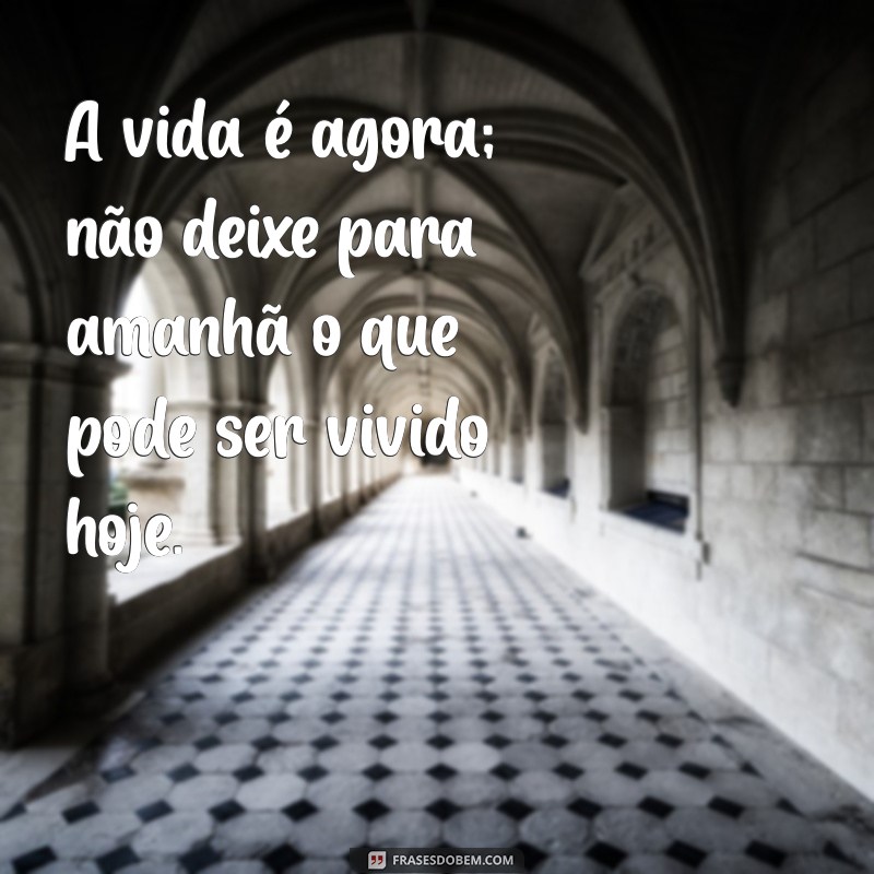 a vida é agora frases A vida é agora; não deixe para amanhã o que pode ser vivido hoje.