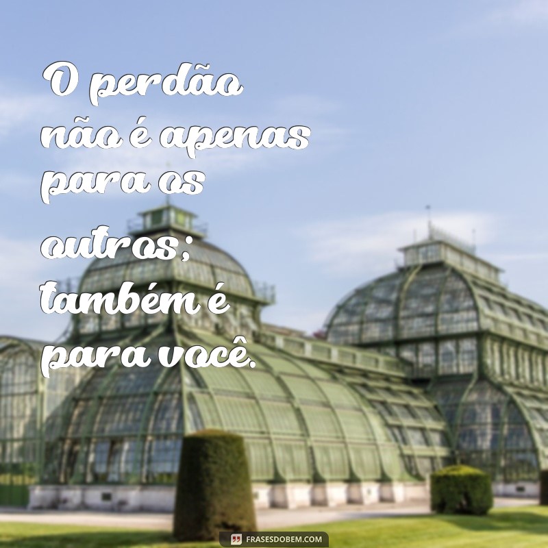 Frases de Perdão: Inspire-se com Mensagens que Tocam o Coração 