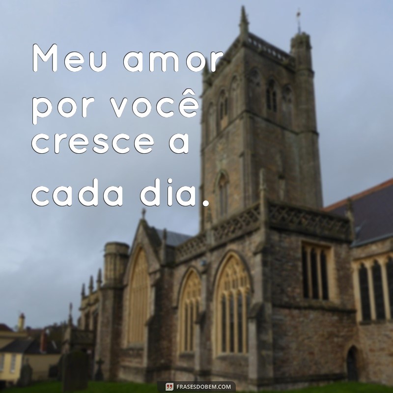 Frases Inspiradoras para Celebrar o Amor da Sua Vida 