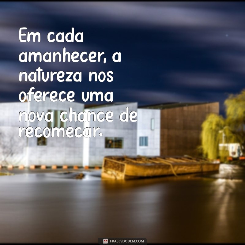 Frases Inspiradoras sobre a Natureza Selvagem: Conecte-se com o Mundo Natural 