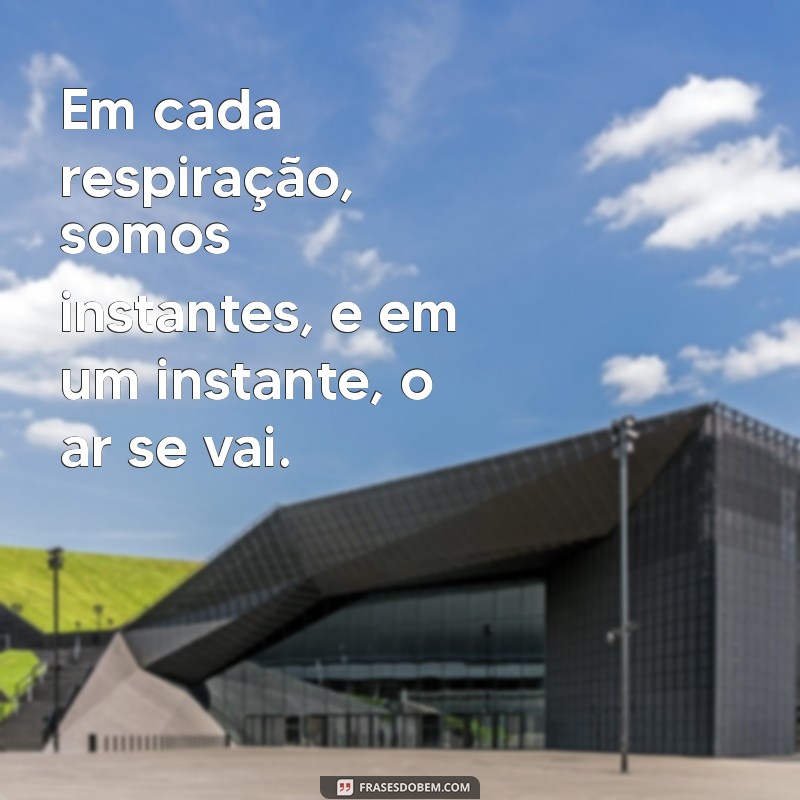 Reflexões sobre a Transitoriedade: Somos Instantes e a Fragilidade da Existência 