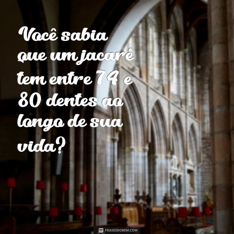 quantos dentes tem um jacaré Você sabia que um jacaré tem entre 74 e 80 dentes ao longo de sua vida?