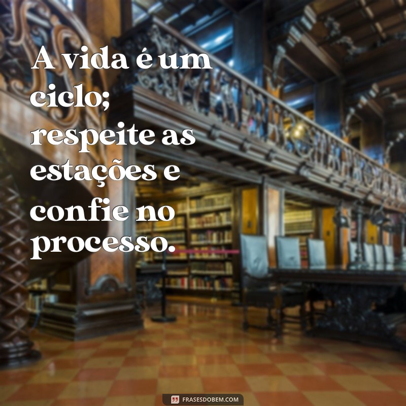 Frases Inspiradoras de Meditação para Refletir sobre a Vida 