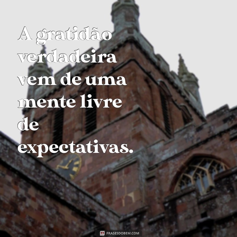 Não Espere Nada dos Outros: Aprenda a Valorizar Sua Autonomia e Felicidade 