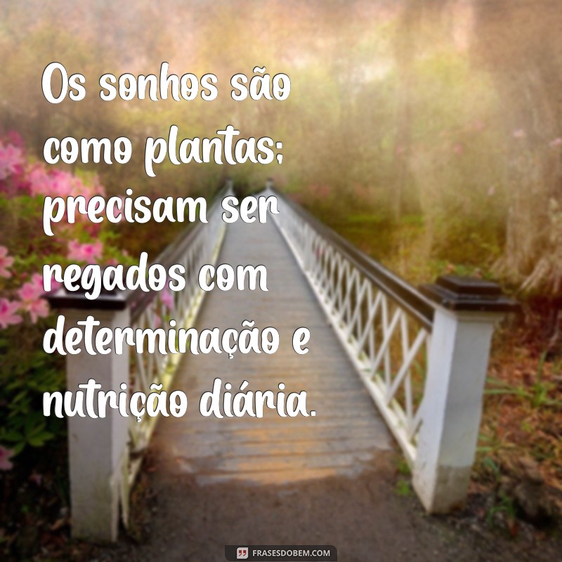 26 Frases Inspiradoras para Construir Seus Sonhos 