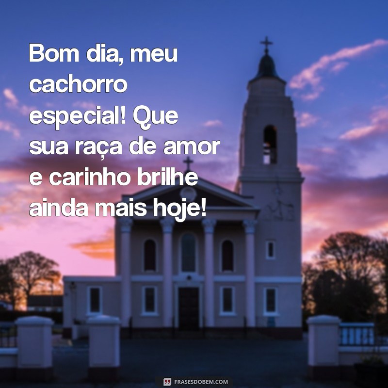 Mensagens de Bom Dia para Celebrar o Amor pelo Seu Cachorro 