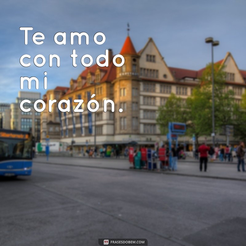 meu amor em espanhol Te amo con todo mi corazón.