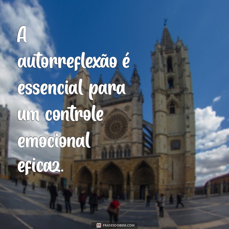 Como Controlar as Emoções: Dicas Práticas para Equilibrar sua Vida Emocional 