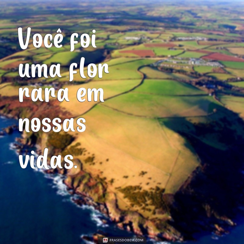 Descubra as mais belas frases para homenagear com uma coroa de flores 