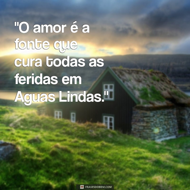 amor e saude aguas lindas 