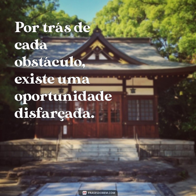 Frases Inspiradoras para Refletir no Dia 20 de Novembro 