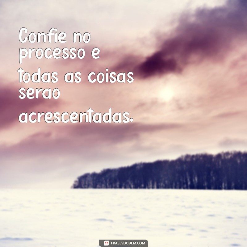 todas as coisas serão acrescentadas Confie no processo e todas as coisas serão acrescentadas.