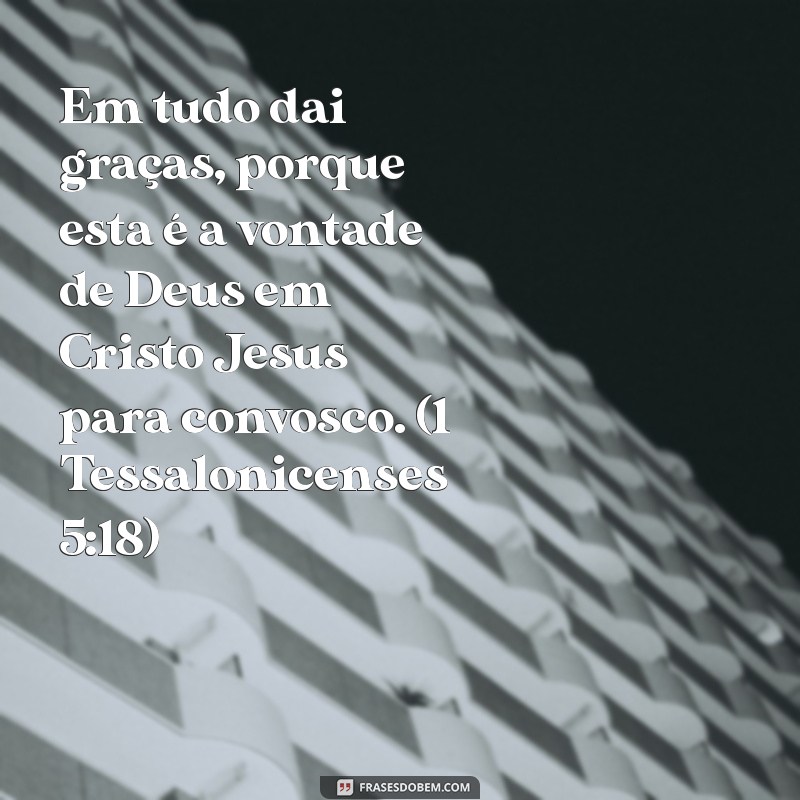 Frases Bíblicas Inspiradoras de Gratidão a Deus: Cultive a Agradecimento em Sua Vida 