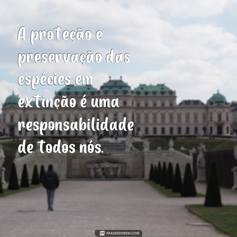 Descubra as melhores frases sobre animais para se inspirar e compartilhar! 