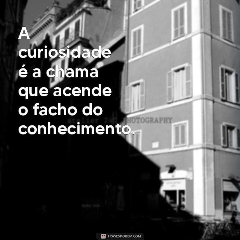 senso científico A curiosidade é a chama que acende o facho do conhecimento.