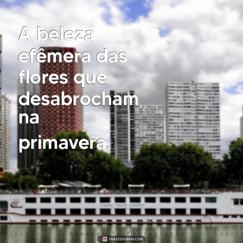 ideias para poemas A beleza efêmera das flores que desabrocham na primavera.