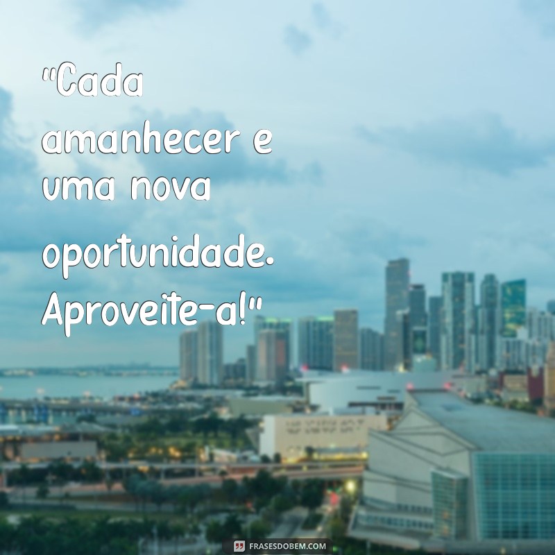 frases da manhã para status 