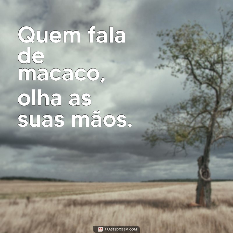 Descubra as 10 melhores frases de macaco que vão te fazer refletir 