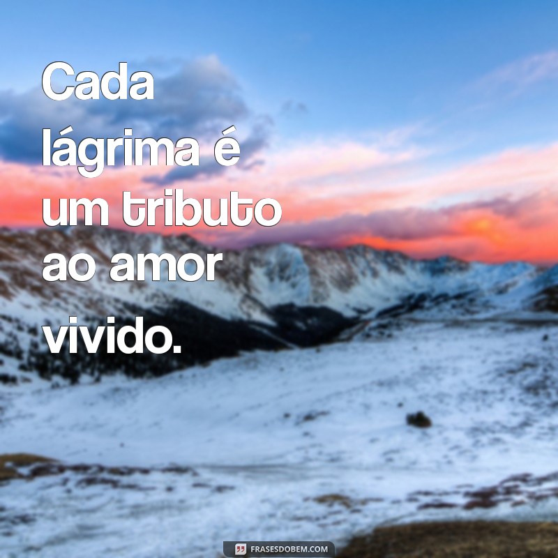 Frases de Conforto para Superar o Luto: Palavras que Acalmam o Coração 