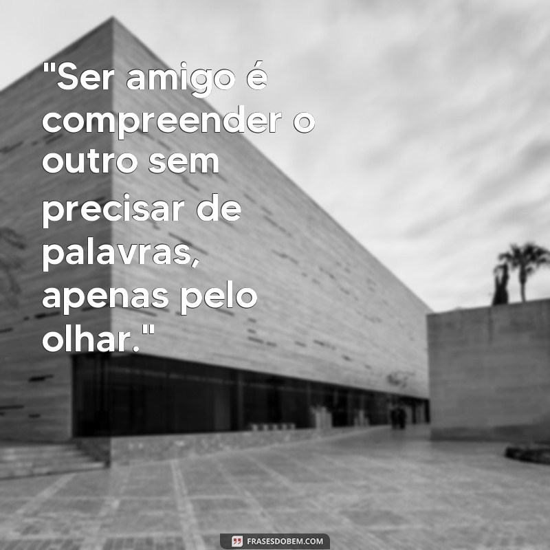 frases de amizade pequeno principe 