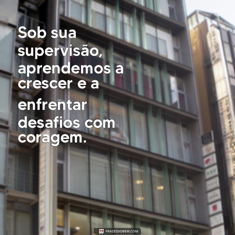 Frases Inspiradoras para Supervisores: Motive e Engaje sua Equipe 