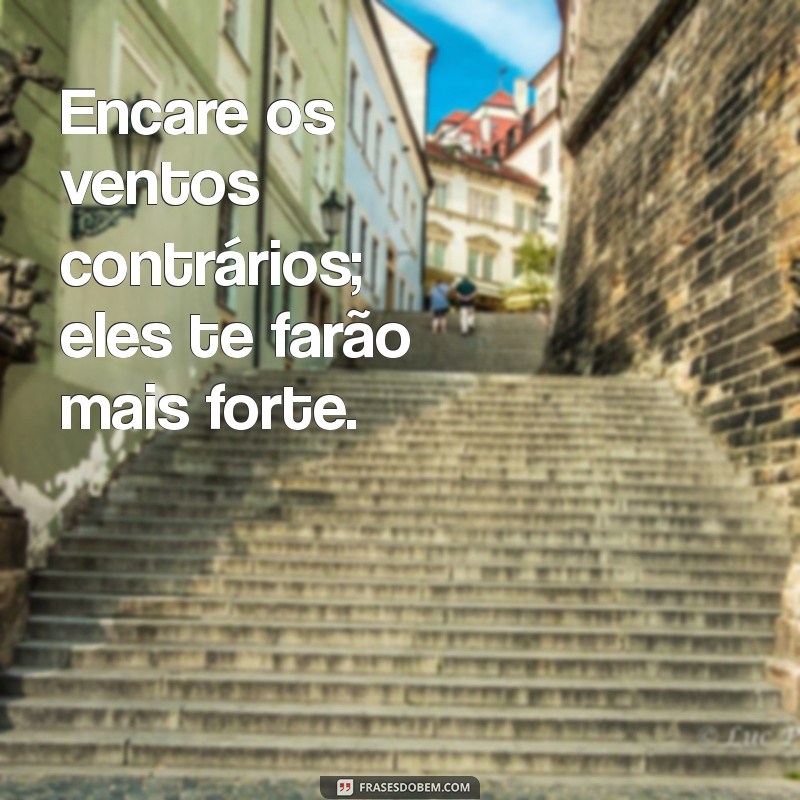 Frases Motivacionais Inspiradas na Águia: Eleve Sua Motivação e Alcance Novos Altos 