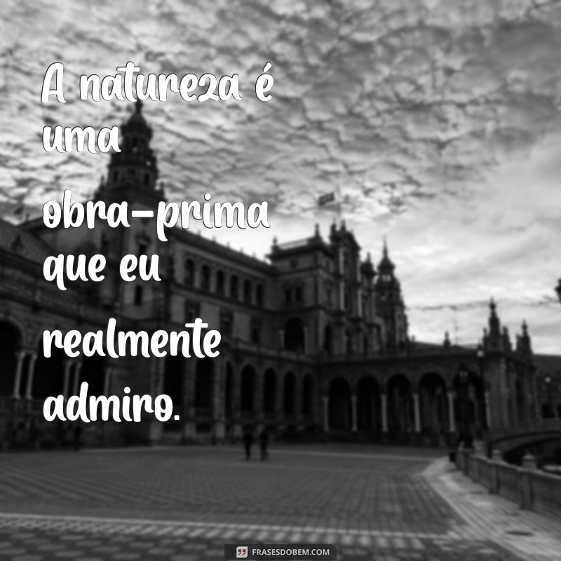 Admiro ou Adimiro: Descubra a Forma Correta e Dicas de Uso 