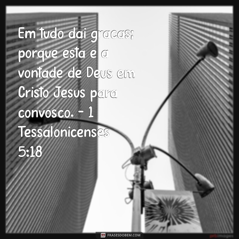 Versículos Inspiradores sobre um Coração Grato: Encontre Gratidão na Palavra 