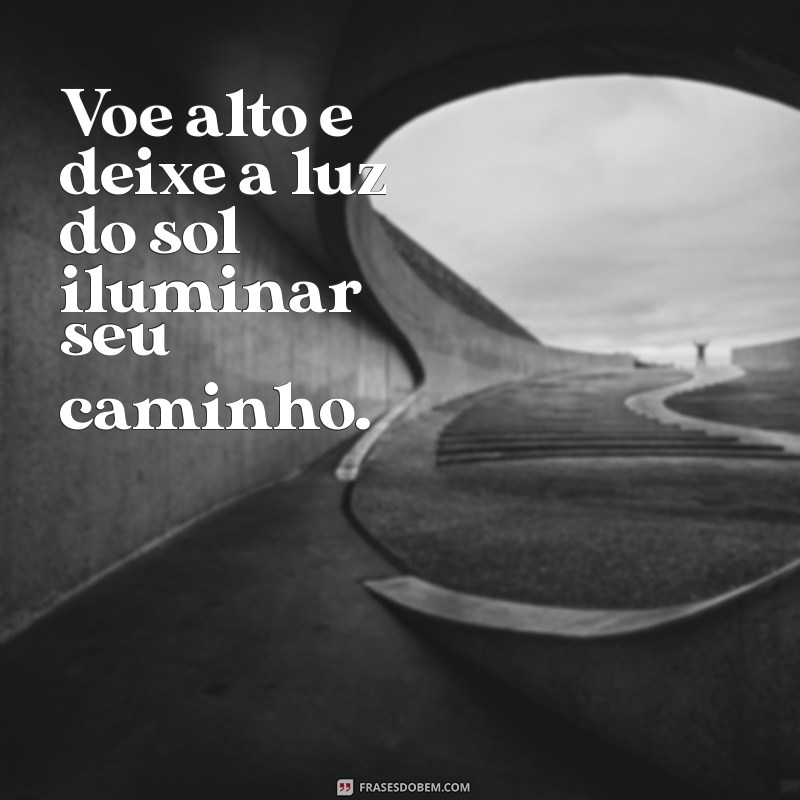 Frases Inspiradoras para Voe Alto: Eleve Seus Sonhos e Conquiste Novos Horizontes 