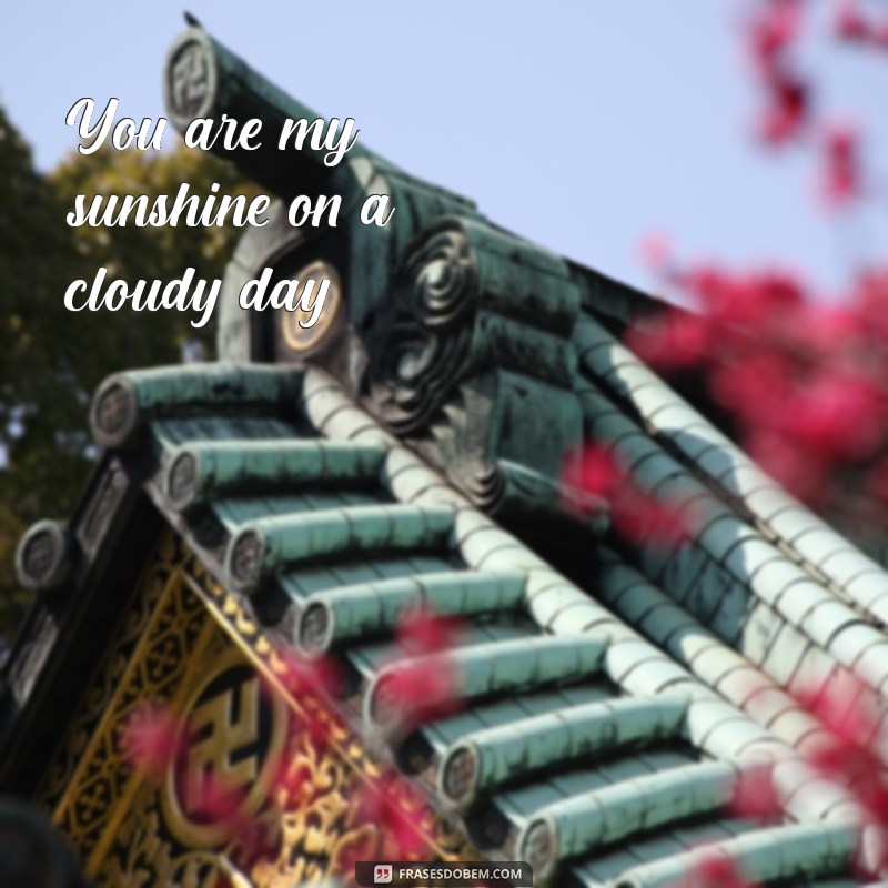 frases em ingles para namorada You are my sunshine on a cloudy day.