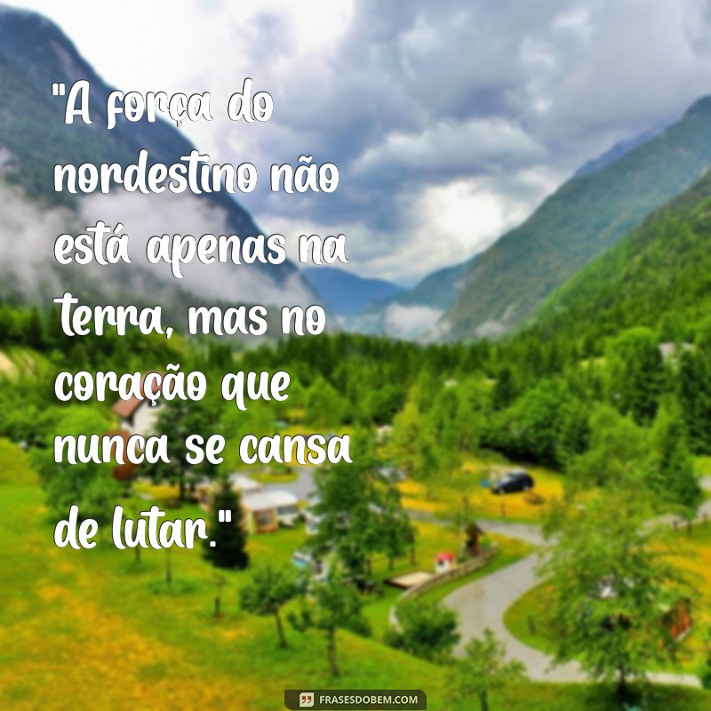 frases nordestinas inspiradoras 