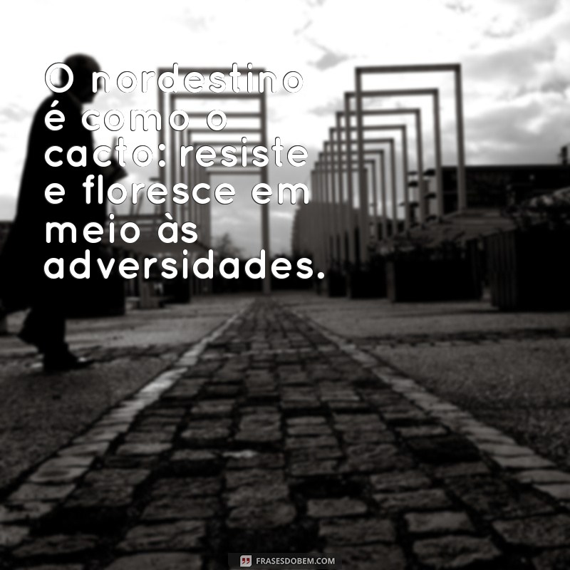 Frases Nordestinas Inspiradoras: Sabedoria e Cultura do Nordeste 