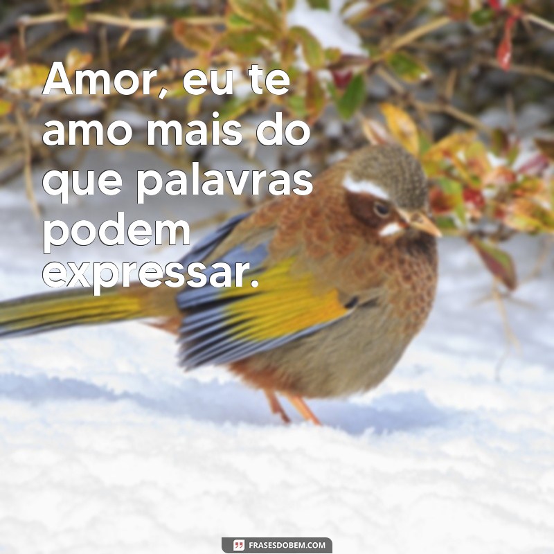 amor eu te amo Amor, eu te amo mais do que palavras podem expressar.