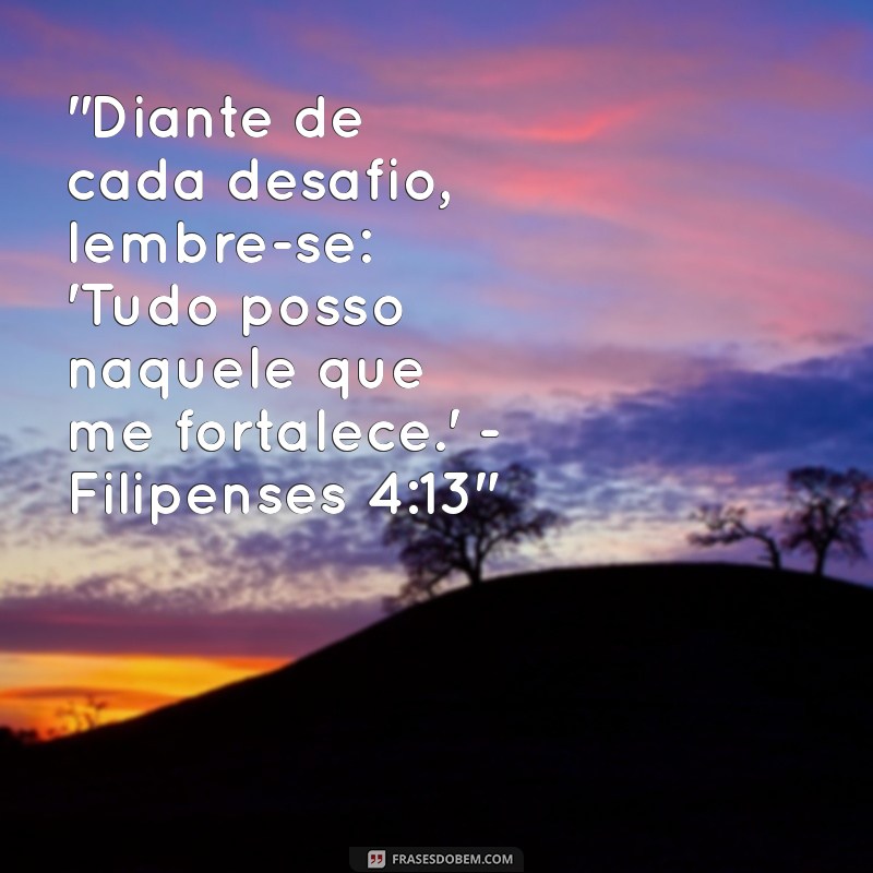 bíblia frases do dia 