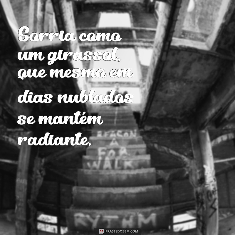 Frases Inspiradoras sobre Girassóis para Arrasar no Tumblr 