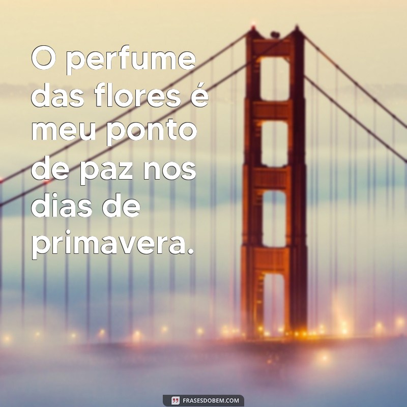 Descubra a serenidade em frases inspiradoras de paz 