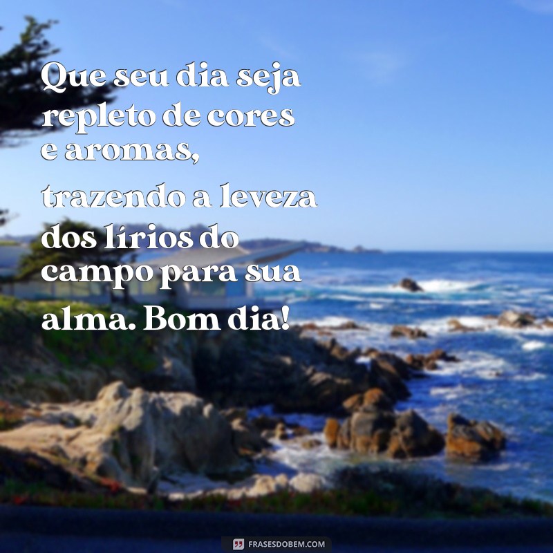 Mensagem de Bom Dia: Inspire-se com a Beleza do Lírio do Campo 