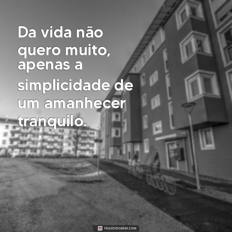 Da Vida Não Quero Muito: Aprenda a Valorizar o Essencial 