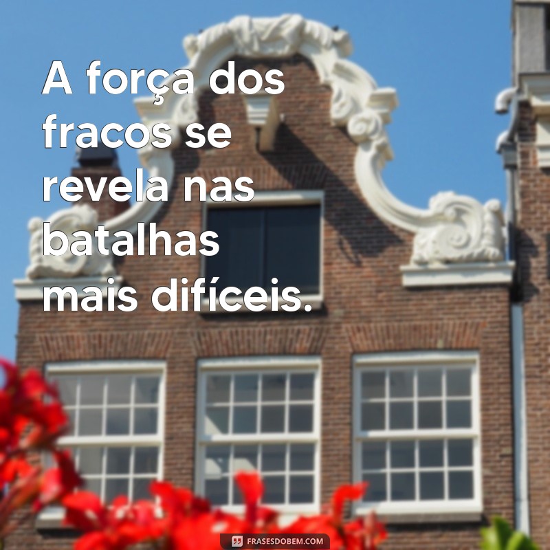 Frases Inspiradoras de Luta e Força para Superar Desafios 