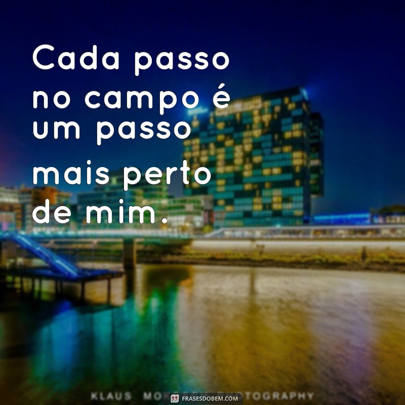 Frases Inspiradoras para Legendar Suas Fotos no Campo 