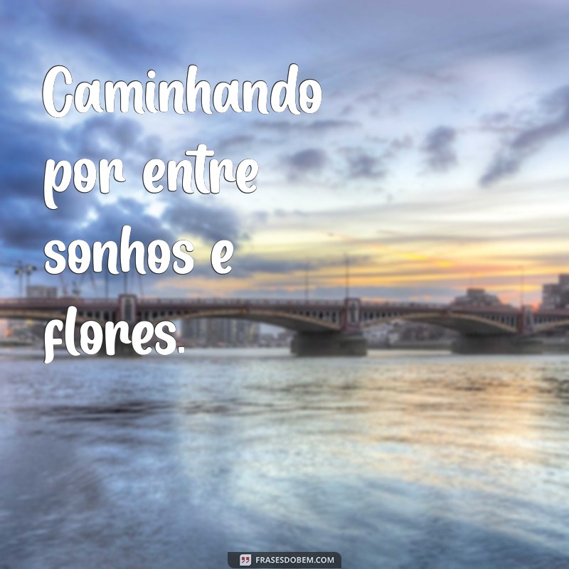 Frases Inspiradoras para Legendar Suas Fotos no Campo 