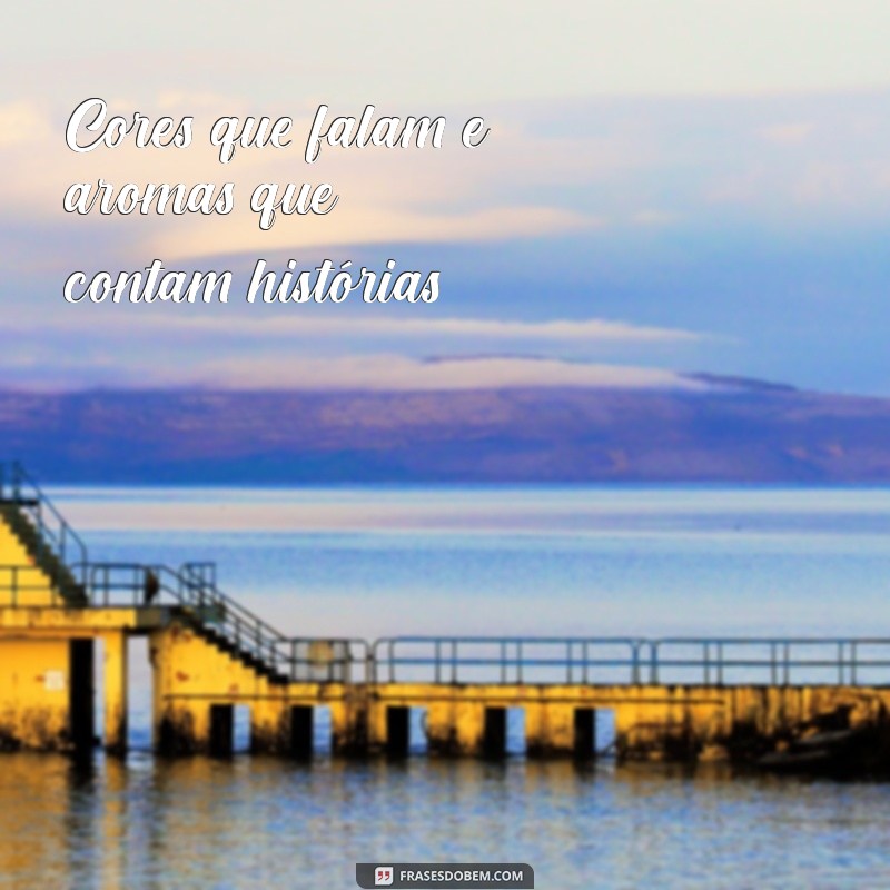 Frases Inspiradoras para Legendar Suas Fotos no Campo 