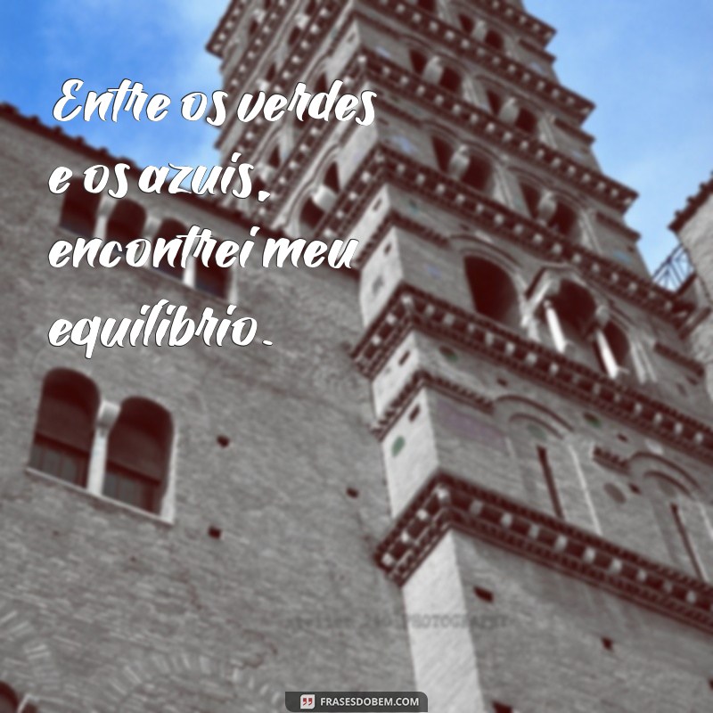 Frases Inspiradoras para Legendar Suas Fotos no Campo 