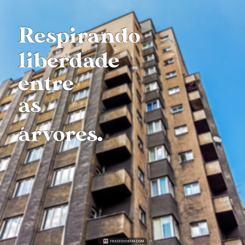 Frases Inspiradoras para Legendar Suas Fotos no Campo 